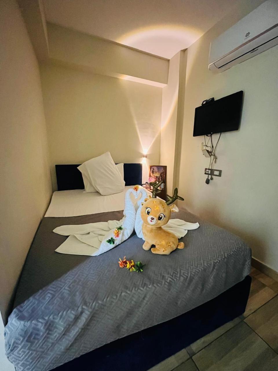 Albergue Revent Cairo